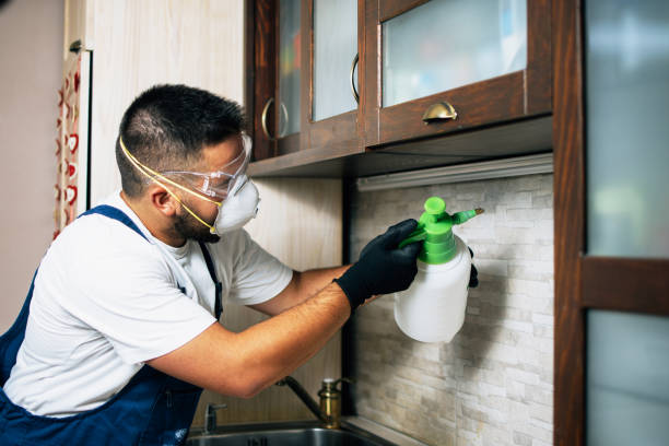 Best Pest Inspection Near Me  in Murillo, TX