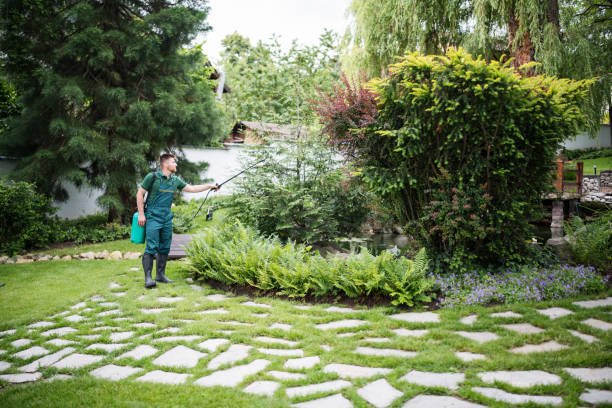 Best Pest Removal Services  in Murillo, TX