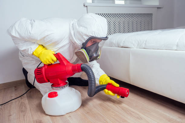 Best Pest Control for Homes  in Murillo, TX