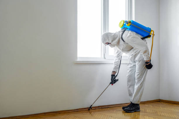 Best Wildlife Control Services  in Murillo, TX