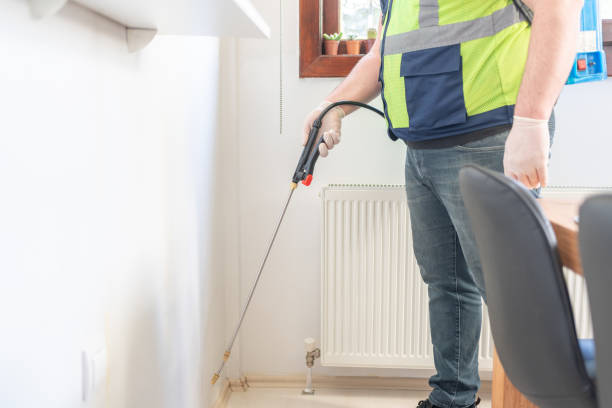 Best Termite Control Services  in Murillo, TX