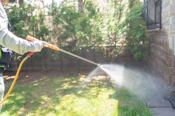 Best Affordable Pest Control Services  in Murillo, TX