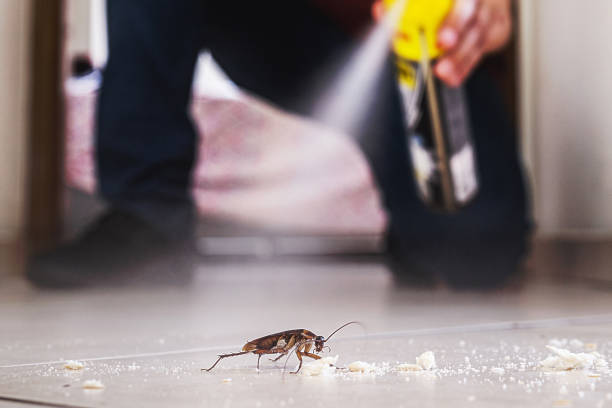 Best Cockroach Control Services  in Murillo, TX