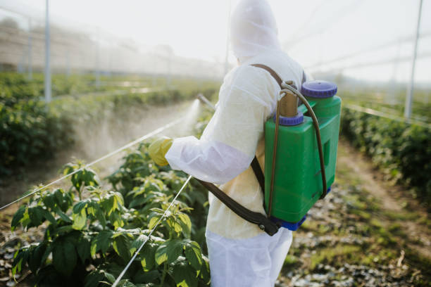 Best Emergency Pest Control  in Murillo, TX